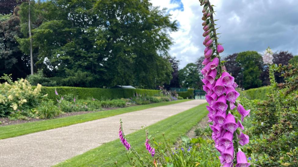 Heigham Park
