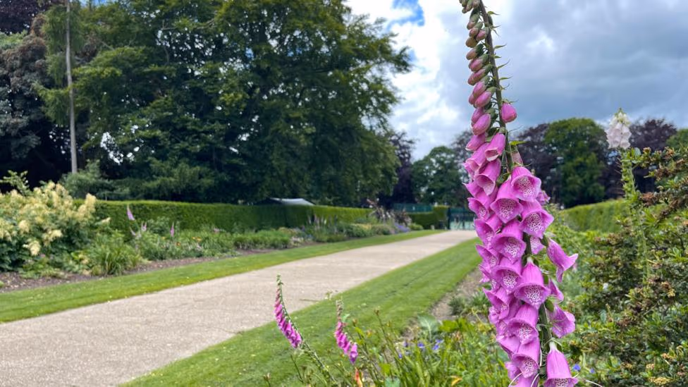 Heigham Park - Main Image